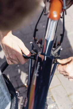 Abus Adaptor Chain Ach Ivy 6KS Chaîne De Verrouillage De Cadre -Vélo Pièces Magasin 4003318684579 ABUS AdaptorChain AchIvy 6KS Rahmenschlosskette 3