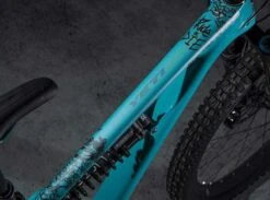 Dyedbro Kit De Protection De Cadre Ride Or Die -Vélo Pièces Magasin DYEDBRO Ride or Die Rahmenschutz Kit DBF11187 4